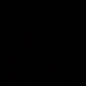 Meet your Posher, Emanuel